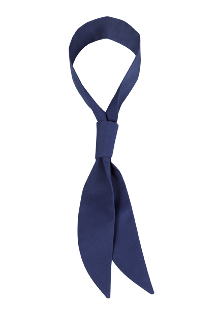 Picture of Service Tie