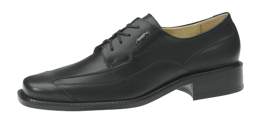 Picture of Professional Shoe ESD