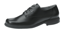 Picture of Professional Shoe black